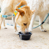 black rubber collapsible dog bowl with yellow Bell's logo on bottom. Also has carabiner clip