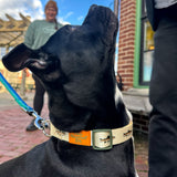 dog wearing off white collar green Two Hearted fish pattern, green buckle and orange Two Hearted label