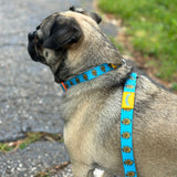 Bright blue dog leash with yellow plastic construction and clasp, with one orange buckle. There is a full color Oberon sun pattern repeated for the design on the leash