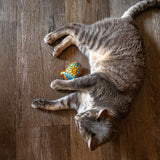 orange Oberon cat toy in the shape of and featuring the Oberon full color sun logo