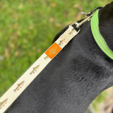 off white dog leash with full color Two hearted brand fish pattern in green and orange. Orange Two hearted tag with green text near clasp
