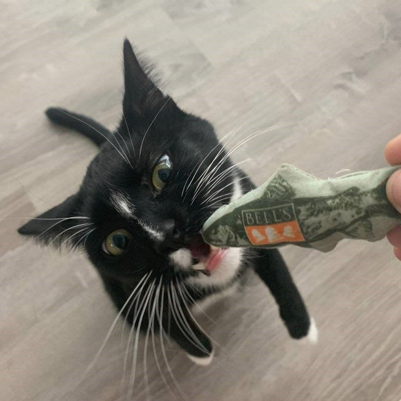 Black and white cat attempting to bite Green Two Hearted Fish-shaped cat toy with "Two Hearted IPA" in orange