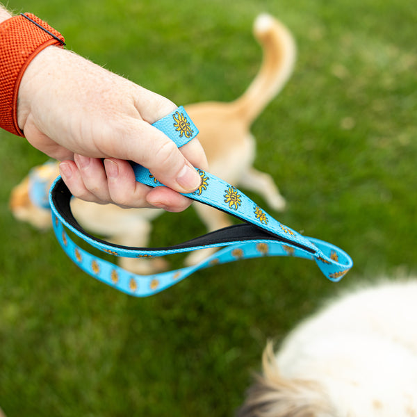 Bright blue dog leash with yellow plastic construction and clasp, with one orange buckle. There is a full color Oberon sun pattern repeated for the design on the leash