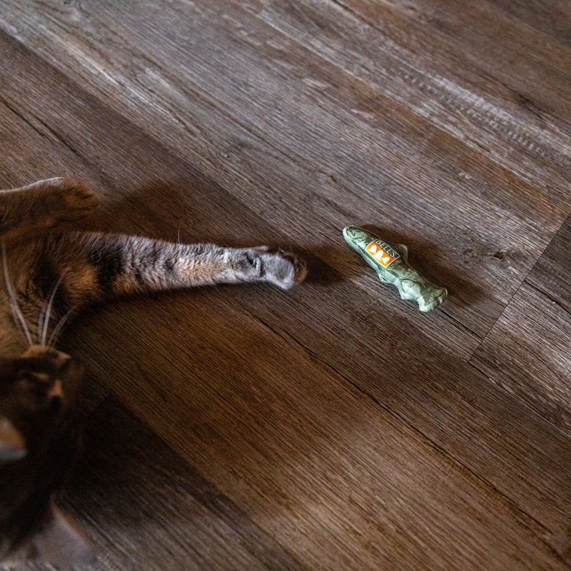 Green Two Hearted Fish-shaped cat toy with "Two Hearted IPA" in orange